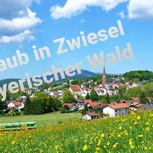  Apartment Ferienwohnung Rachel Im Bayerischen Wald